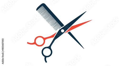 Hairdresser scissors and comb