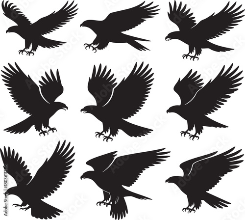 A grid of nine black silhouette illustrations of eagles in various dynamic flight poses against a light background.