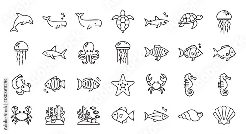 Black and white sea animals line art icons collection