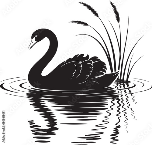 A silhouette of a graceful black swan swims on rippling water, accompanied by tall reeds, creating a serene natural scene.