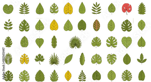 Collection of diverse leaf illustrations on a white background.