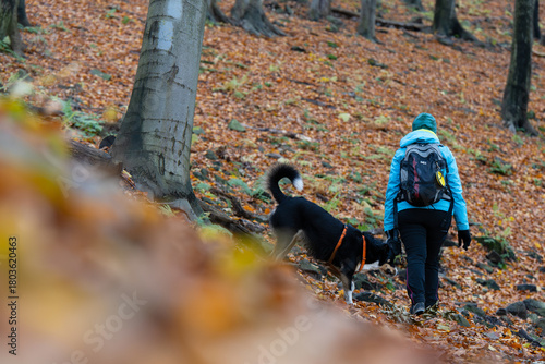 Fototapeta Naklejka Na Ścianę i Meble -  Turystka z psem na górskim szlaku w Beskidach