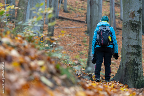 Fototapeta Naklejka Na Ścianę i Meble -  Turystka  na górskim szlaku w Beskidach
