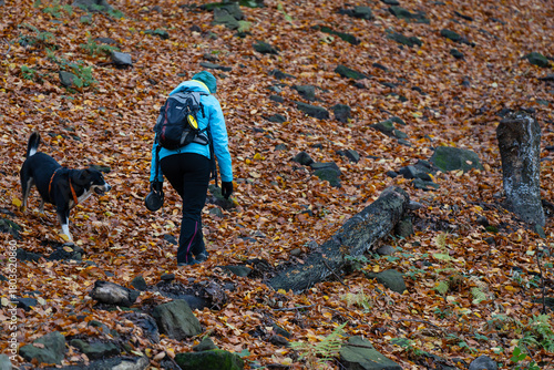 Fototapeta Naklejka Na Ścianę i Meble -  Turystka z psem na górskim szlaku w Beskidach