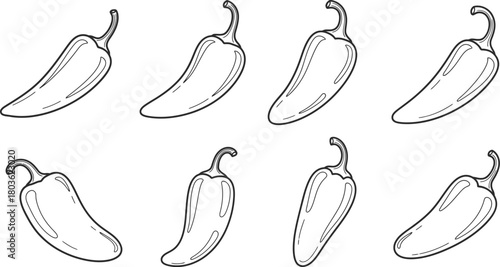 A collection of hand drawn chili pepper illustrations in a simple black and white style
