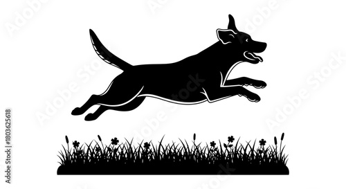 Excited dog leaping playfully over grassy field, fun outdoor adventure