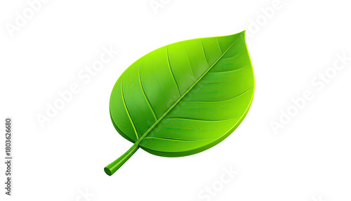 Vibrant green leaf with delicate veins on a stark black background