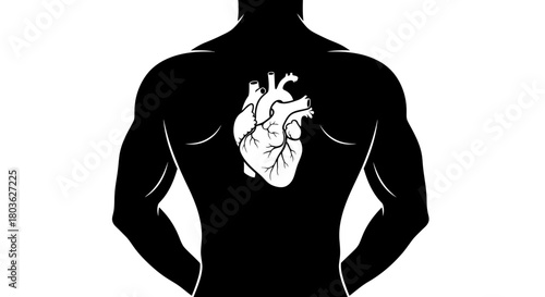 Silhouette of a strong man with a white anatomical heart graphic on his back, symbolizing health and vitality.