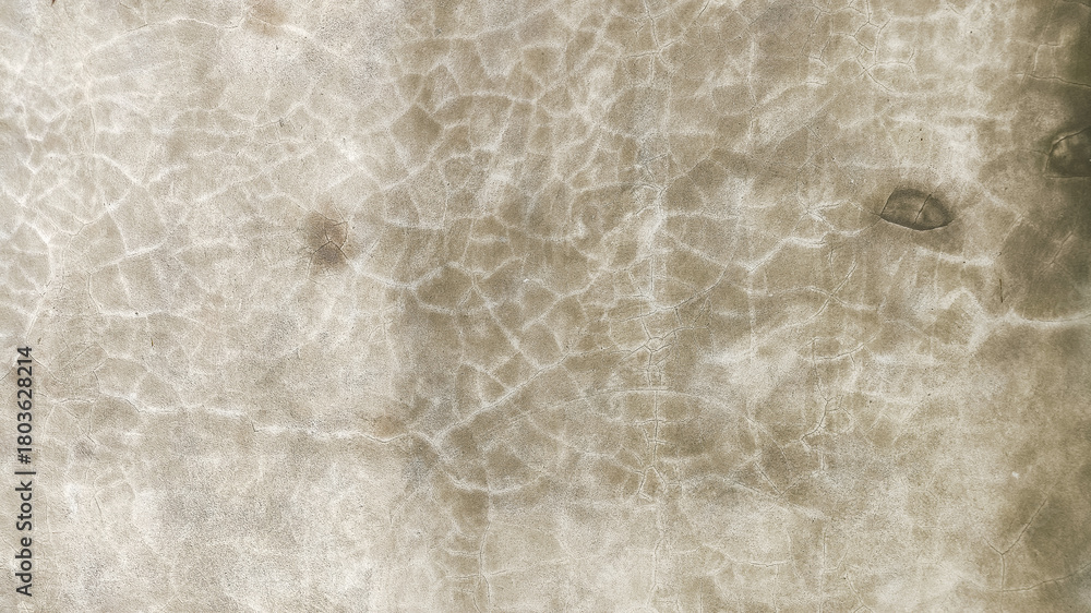 Fototapeta premium Detailed horizontal cement texture showing raw concrete grain, subtle roughness, and light aging ideal for backgrounds, building concepts, and graphic texture references.