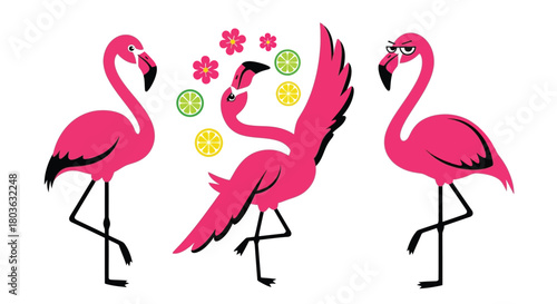 Three charming pink flamingos having fun with fruit and flowers