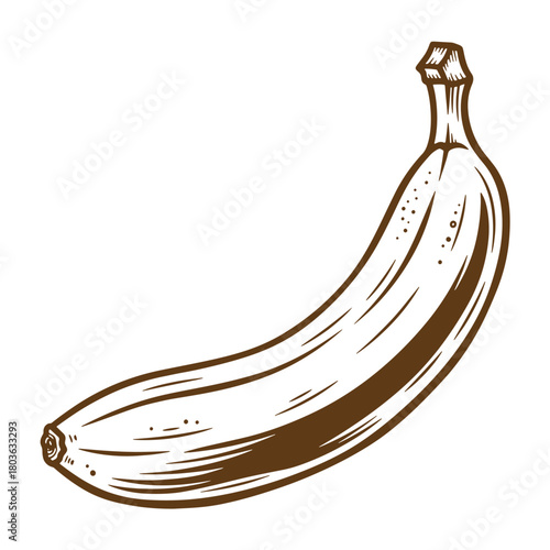 Detailed brown sketch of a ripe banana isolated on white background