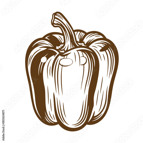Detailed hand drawn brown bell pepper vector sketch vintage art for design purposes