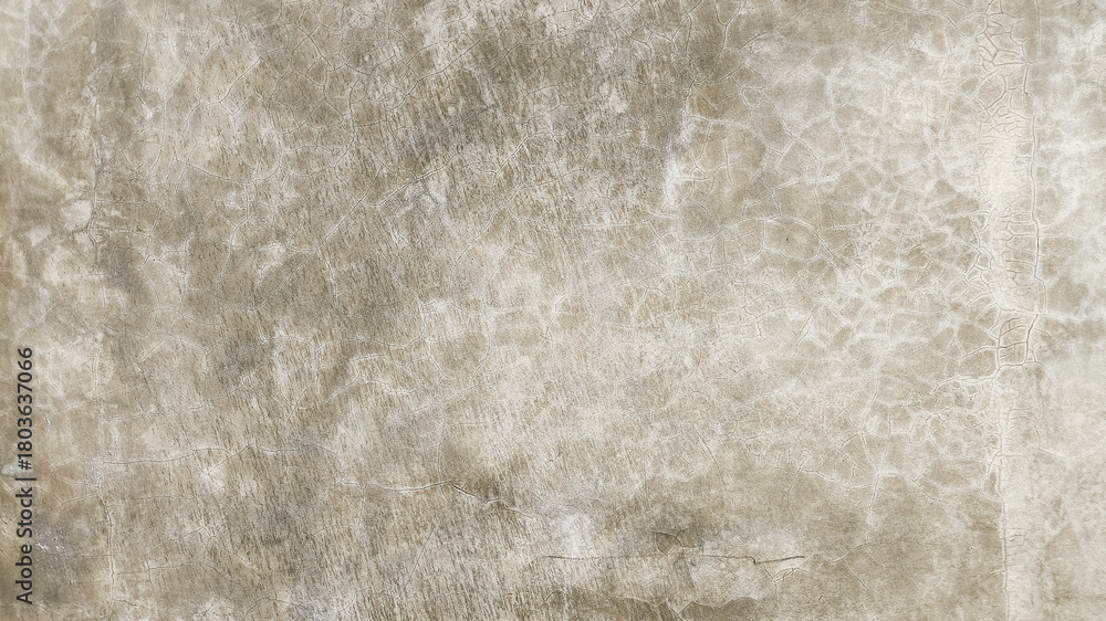 Fototapeta premium Horizontal cement surface texture with natural concrete patterns, rough grain details, and subtle weathered imperfections suitable for backgrounds, architectural and industrial graphic applications.