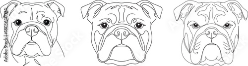 Bulldog face collection in clean modern line art pet illustration style