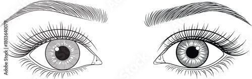 Detailed expressive female eyes with long lashes drawn in an elegant line art style