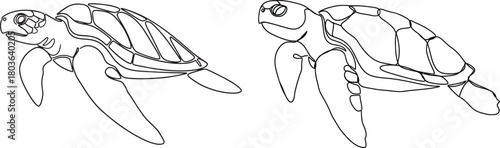 Graceful sea turtle illustrations in clean flowing ocean-themed line art style