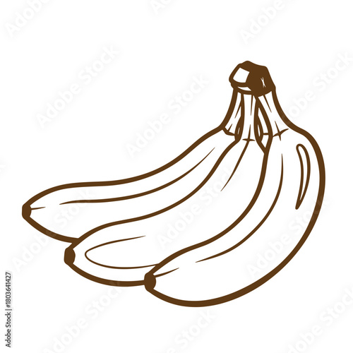 Illustration of a bunch of fresh ripe bananas in a sketch style for various design projects