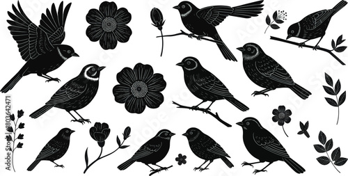 A Collection of Elegant Black Bird Silhouettes and Floral Elements