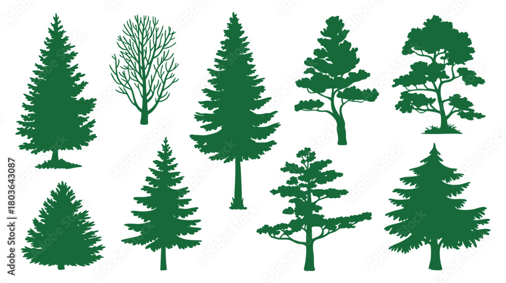 Obraz premium Nature trees diverse silhouette