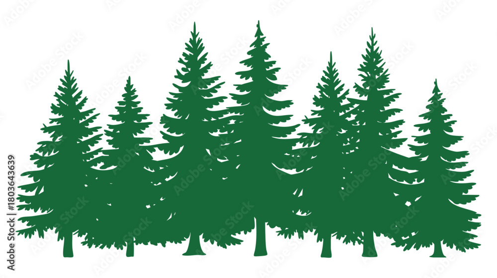 Obraz premium Evergreen pine forest silhouette