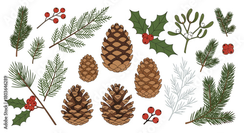 Winter Holiday Botanical Elements Set: Pine Cones, Evergreen Branches, Holly, and Mistletoe Hand-Drawn Illustration
