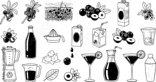 Blueberry and Cranberry Juice, Cocktails, and Fresh Berry Set. Hand-drawn sketch collection featuring natural fruits, drinks, kitchenware, and ingredients for healthy summer beverages.