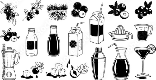 Cranberry Juice Preparation: Hand-Drawn Vector Set with Berries, Juicers, Bottles, and Cocktail Glass