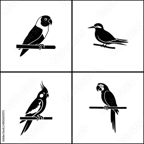 Four different birds in black and white isolated on white background