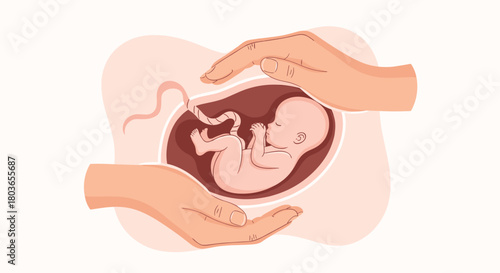Hands Protecting Fetus: Symbol of Care and Safety.