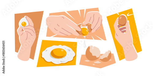 Egg collection hand with boiled egg, whole egg, cracking, fried egg, and eggshell. Vector illustration.