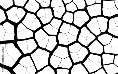 Abstract black and white cracked earth pattern background design