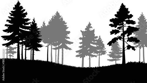Forest silhouette landscape design element, layered pine trees