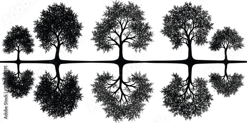 Row of stylized trees with mirrored reflections connected by continuous horizon line in detailed botanical silhouette design for nature themed artwork