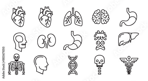 Human anatomy organs seamless vector pattern for medical design usage