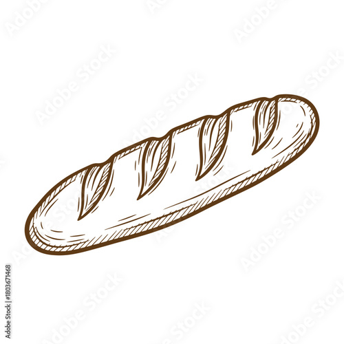 Hand drawn sketch of fresh crusty baguette bread isolated on white background