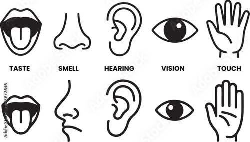 Collection of five senses vectors showing taste smell hearing vision and touch with simple black line illustrations for education