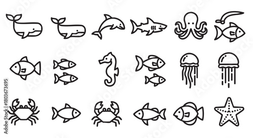 Marine life icons featuring various sea animals in outline style