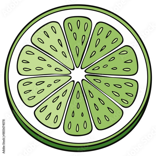 Sliced lime citrus fruit illustration, fresh and juicy green refreshment, summer healthy food