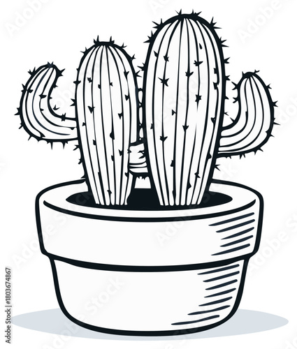 Two large prickly cacti in a ceramic pot in a simple line drawing style
