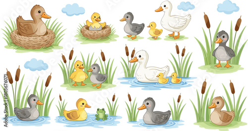Duck family in wetland, ducklings swimming, nature illustration, frog near water, cattails, grass, sky, wildlife scene, educational art