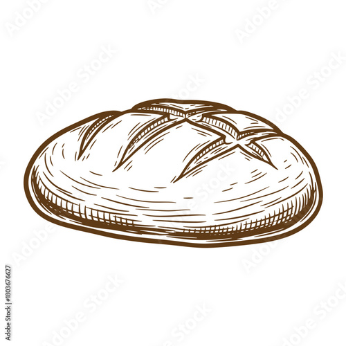 Hand drawn illustration of fresh bread loaf in vintage sketch style for bakery designs