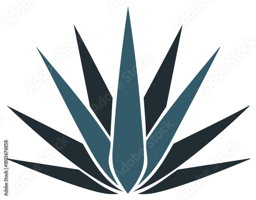 Stylized Agave Plant Blue Tones Simple Design Graphic Element Flat Isolated Art