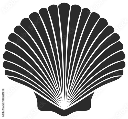 Scallop shell silhouette isolated on white background graphic design