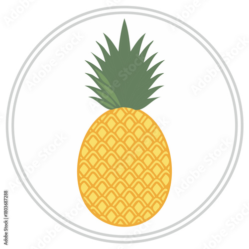 Vibrant tropical pineapple illustration in a stylish circular frame, symbolizing freshness and summer