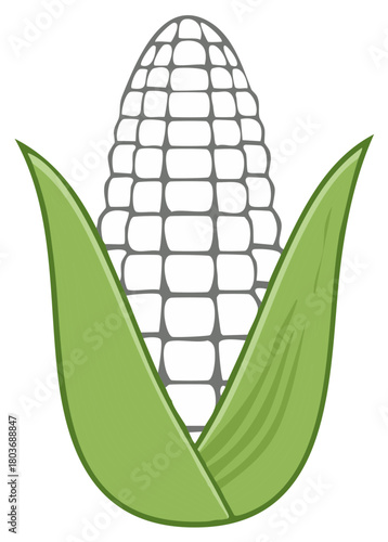 Fresh Corn on the Cob with Green Leaves in a Stylized Vector Illustration