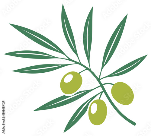Olive Branch with Olives Leaves Symbol Illustration Greek Agriculture Vector