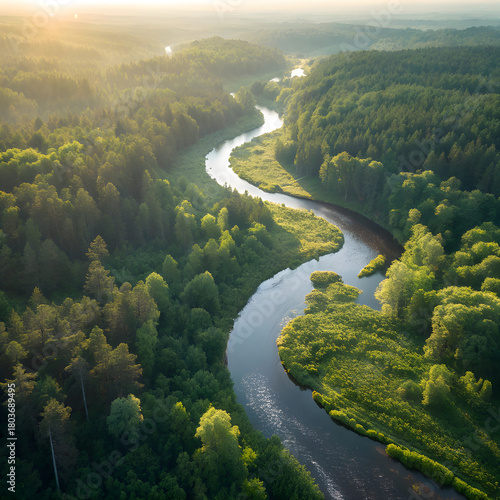 Aerial View of Sunlit River Winding Through Dense Green Forest.