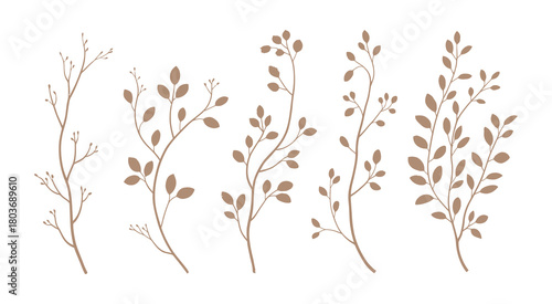 Set of five delicate brown branches with small leaves, isolated on