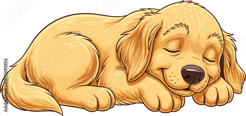 Sleeping golden puppy cartoon illustration, curled up dog drawing, peaceful pet artwork, cute animal clipart, cozy nap time scene