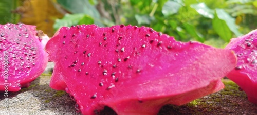 A slice of red dragon fruit looks fresh with bright red flesh speckled with black seeds, blending in with the natural green background of the leaves.